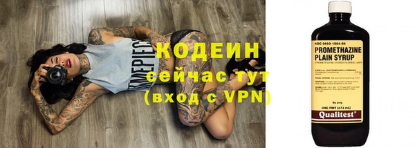 прущий лед Новозыбков