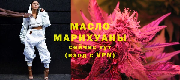 сатива Новодвинск
