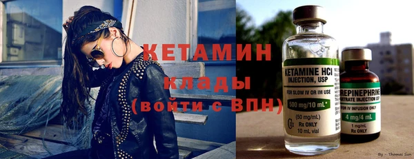 сатива Новодвинск