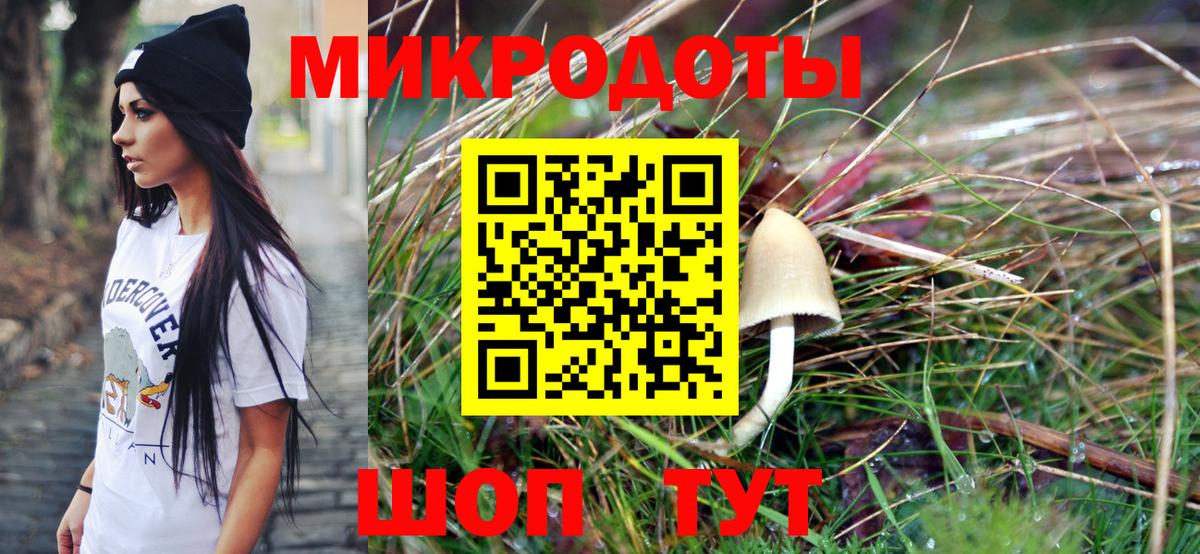 Галлюциногенные грибы Psilocybe Баксан