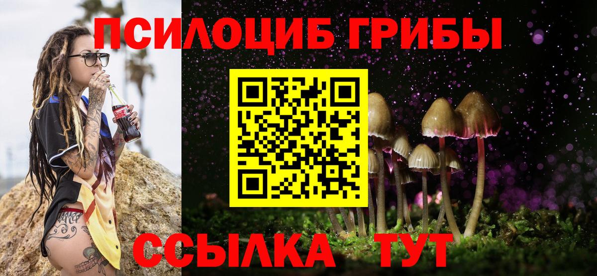 Псилоцибиновые грибы GOLDEN TEACHER  Вход с VPN  Баксан 