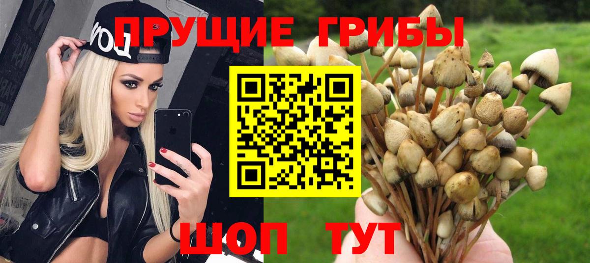 Галлюциногенные грибы ЛСД Баксан
