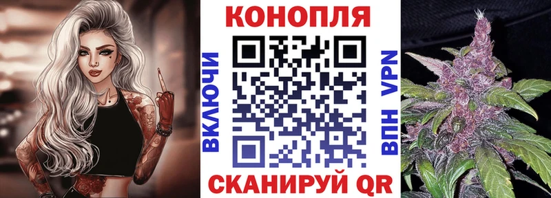 мега ТОР где можно купить Баксан Шишки марихуана сатива