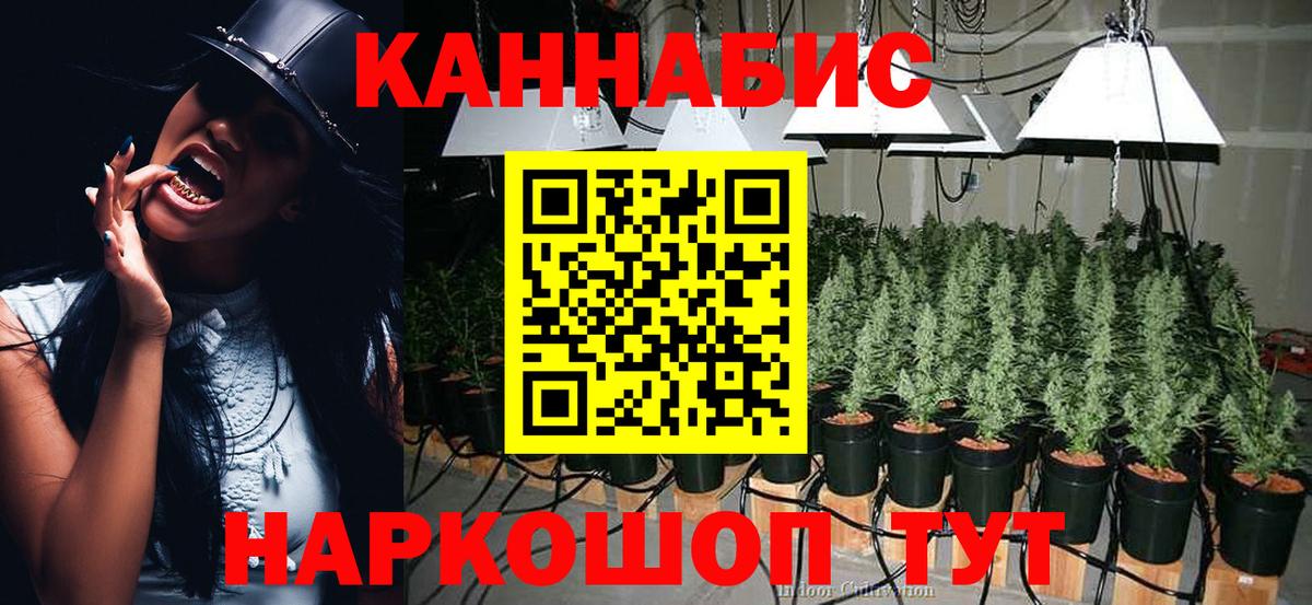 Конопля план Баксан